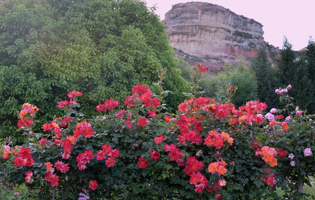 Millpond House Otel Clarens Dış mekan fotoğraf